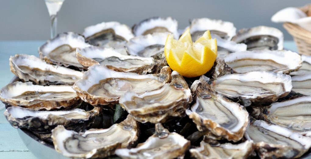 Marennes oysters Oleron Tourism
