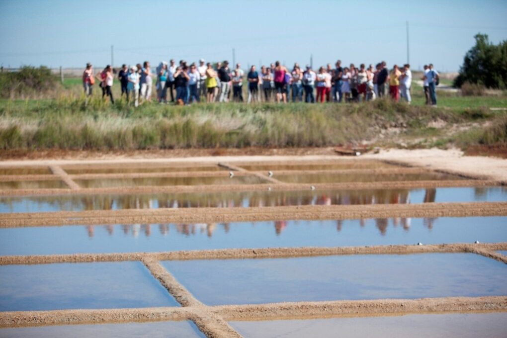 O Port Des Salines Adult Group 1024x683