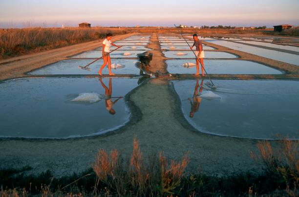 Gettyimages 947438070 612x612