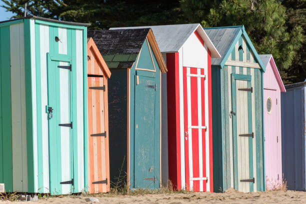 Istockphoto 1401878989 612x612