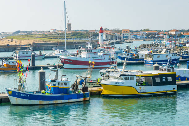 Istockphoto 2157274434 612x612