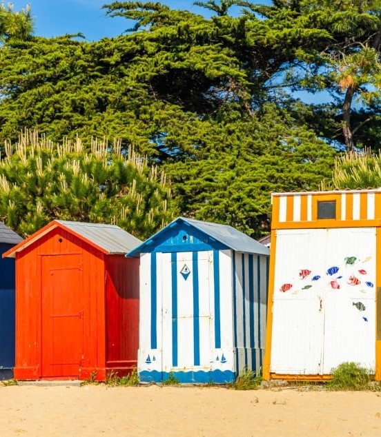 Istockphoto 2157646349 1024x1024