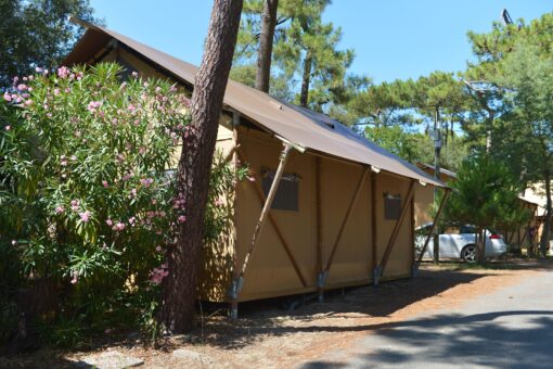 Camping Les Pins 33 Hd ©x.renaudin Dsc 6005 Min