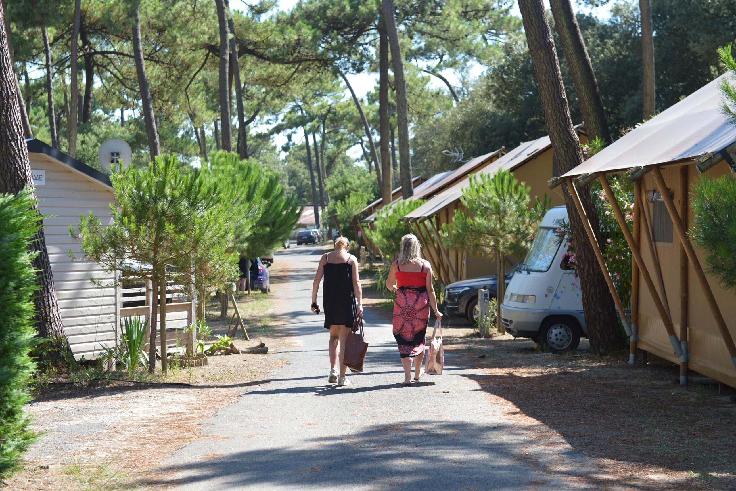 Camping Ile d'Olron 4 Sterne am Meer | Die Kiefern von Olron