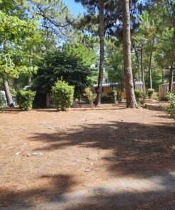 Emplacement Premim au camping