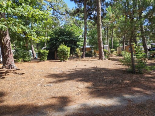 Emplacement Premim au camping